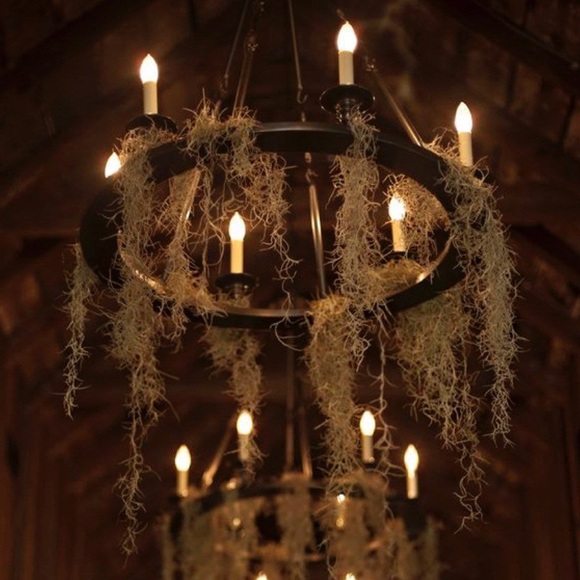 🌅Welcome PLEASE READ 🌅🥂BookMark We Leveled up - Picture 16 of 17